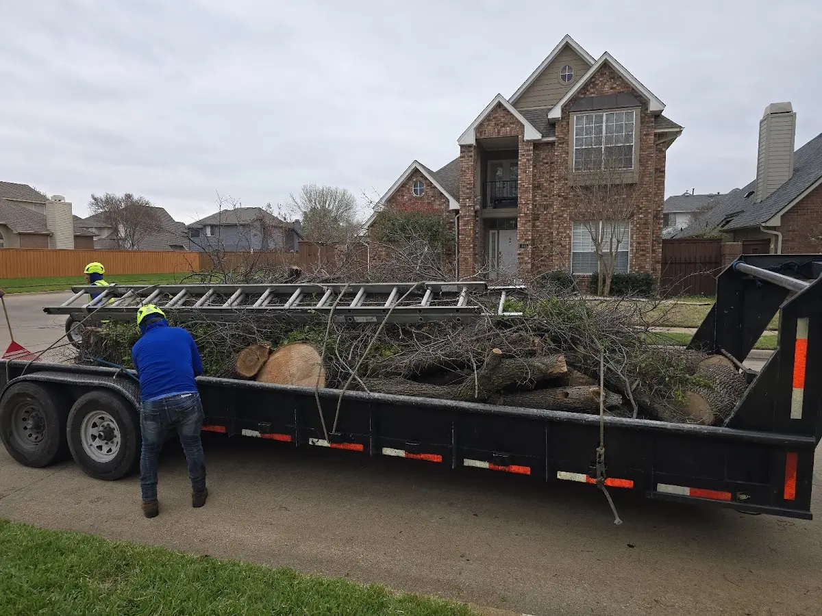 Expert Tree Pest Control with proper safety equipment in Charlotte